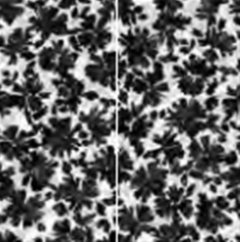 DECO ART BLACK, Carrelage mural, FLOWERS